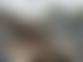 Storm Damage and Roof Insurance Claims: A Step-by-Step Guide for Kansas City Homeowners