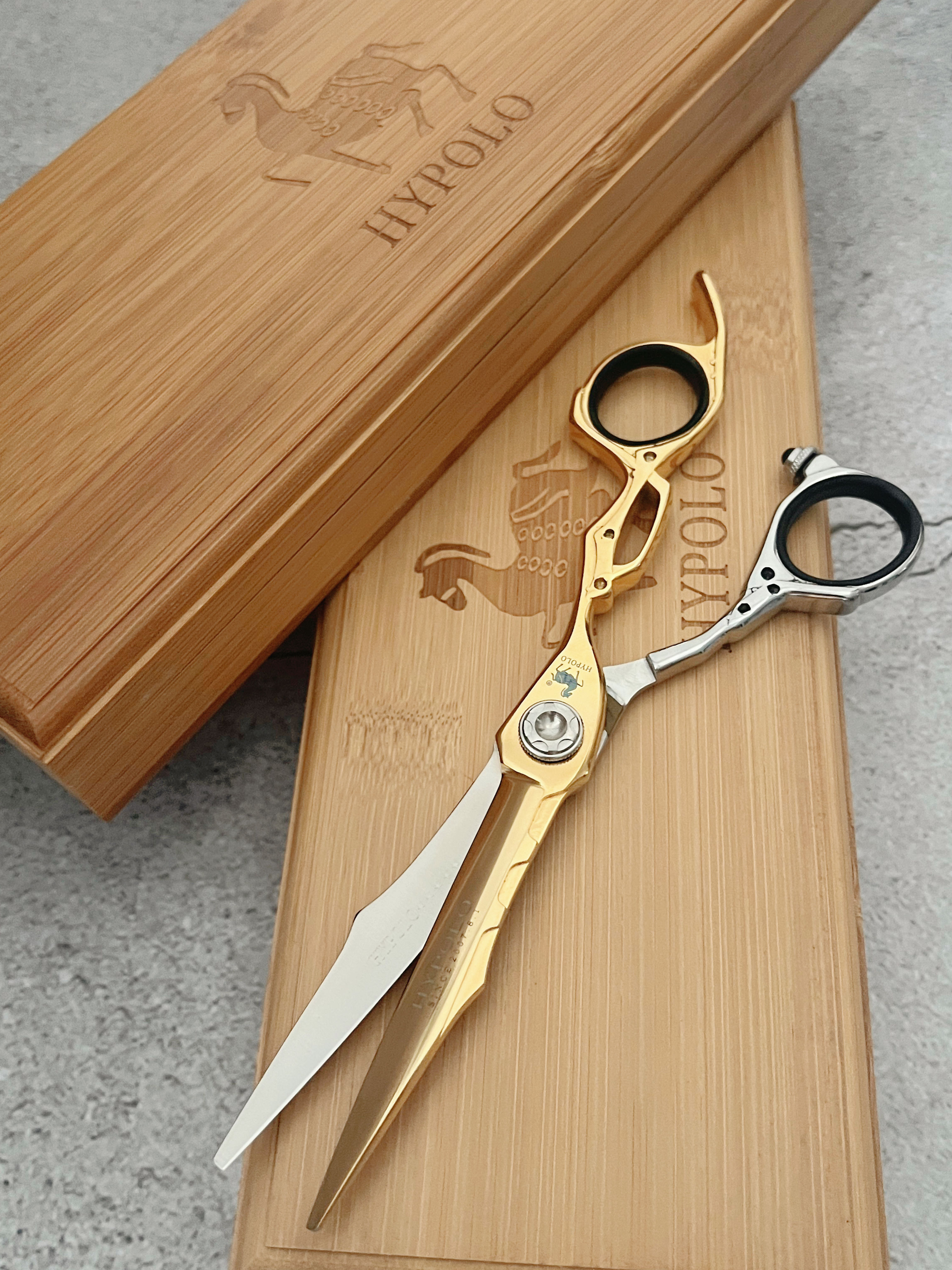 V089A_ION / Professional hairdressing shears