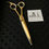 Hình thu nhỏ: HP009_Hoshi / Professional Hairdressing Shears