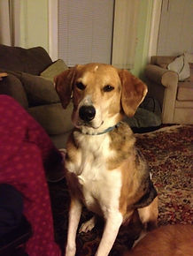 Paco