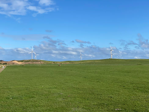 Melbourne-Adelaide Road Trip - The landscape can be mistaken for a Microsoft Windows desktop wallpaper