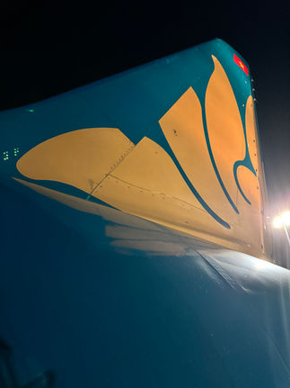 Tailfin of Vietnam Airlines A321 flight VN7557