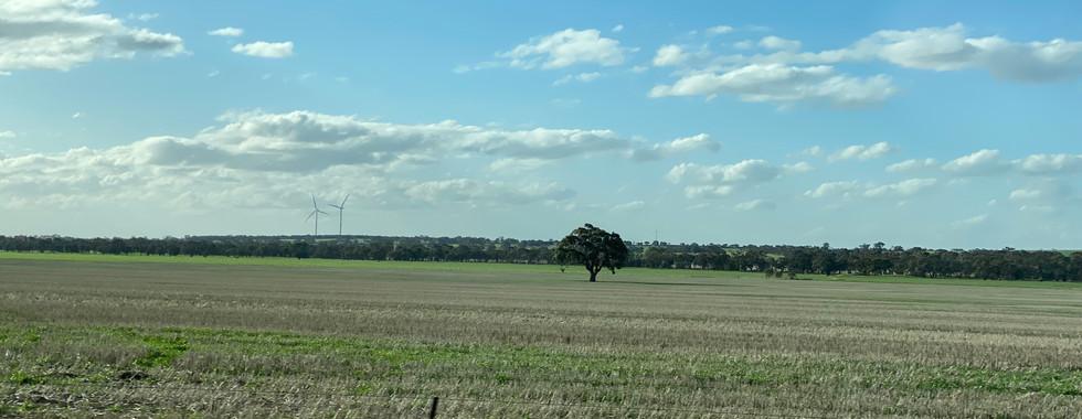 Melbourne-Adelaide Road Trip - Checking out the Victorian landscape