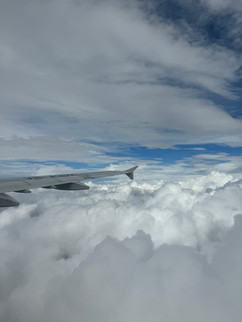 Vietnam Airlines VN1341 cruising