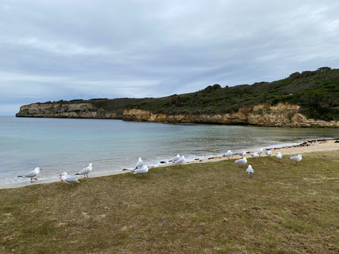 Melbourne-Adelaide Road Trip - The beach at Port Campbell
