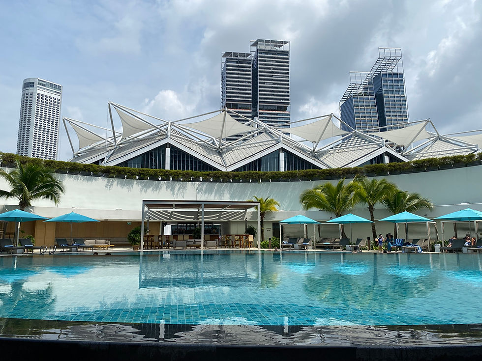 Pan Pacific Singapore - Swimming pool with a view
