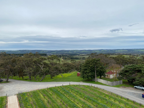 Melbourne-Adelaide Road Trip - The view from d'Arenberg Cube