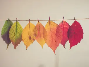 Taking the Fear Out of Change