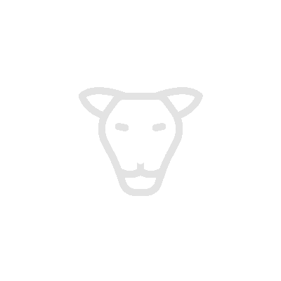 Majestic lion representing strength and leadership, symbolizing the core values of Klemmer's leadership training 
