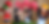 Design sem nome.png