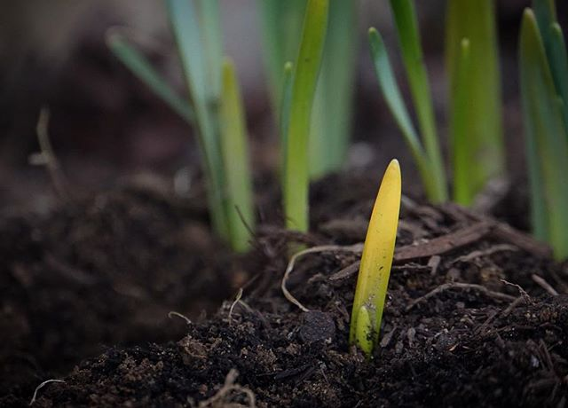 HOME | Gospel In The Garden