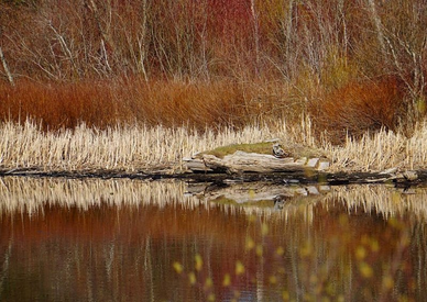 HOME | Gospel In The Garden