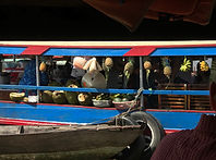 IMG_3629.JPG