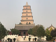 IMG_1540.JPG