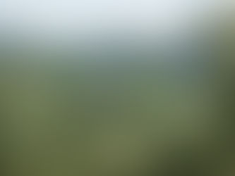 Molino di Grace, Panzano, Chianti