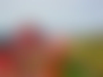 Barolo, La Morra and Art