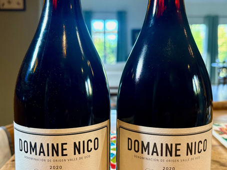 Is there Pinot Noir outside Burgundy?! Argentine Pinot Noir