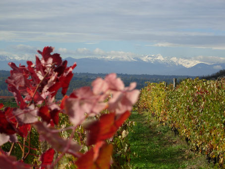 The Other Barolo - Hidden Treasures