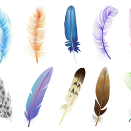 Je suis la Plume