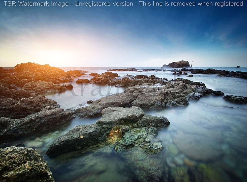 shutterstock_129573740