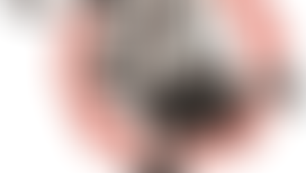 Publication Announcement!