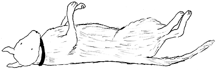dog roll.tif