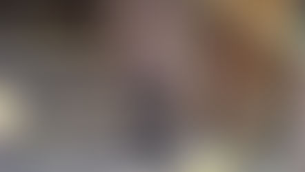 library dog is patient