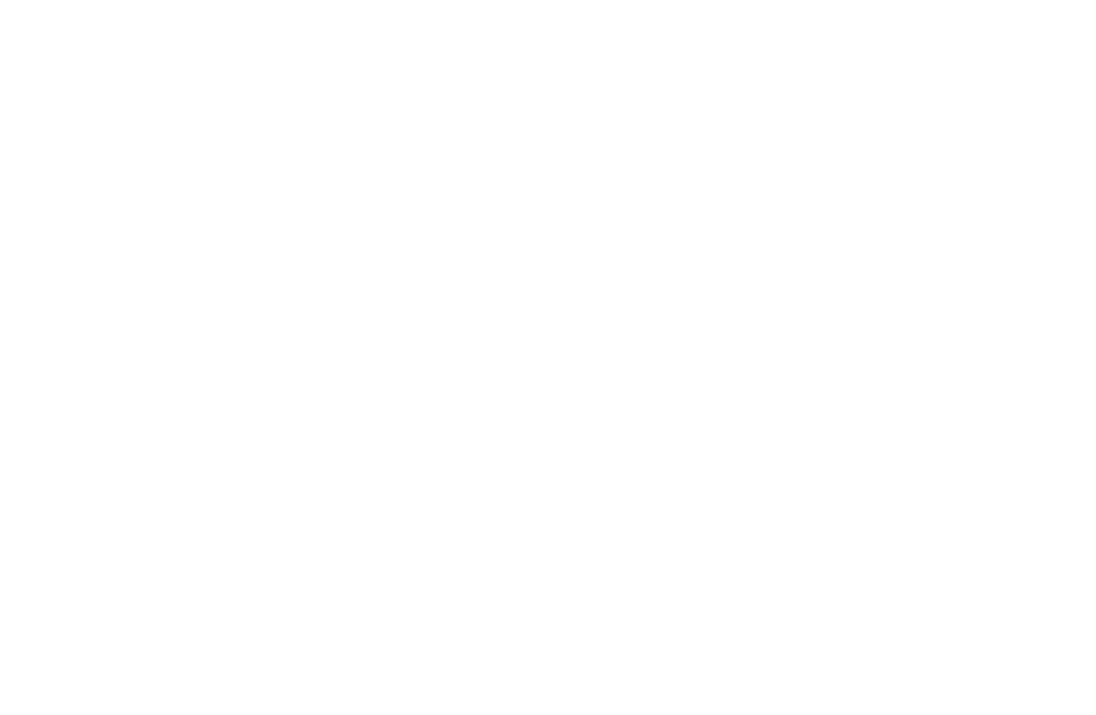 NSR Logo 2025 White no tag_4x.png