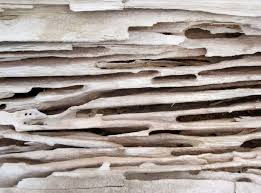 Hollis Home Inspection