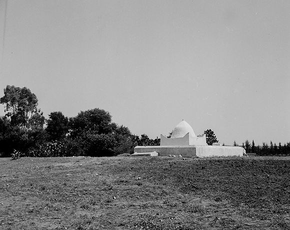 Natürliche Schönheit