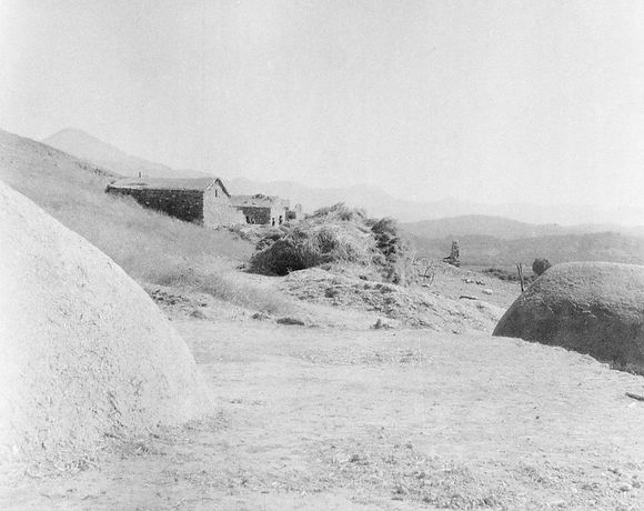 Natürliche Schönheit