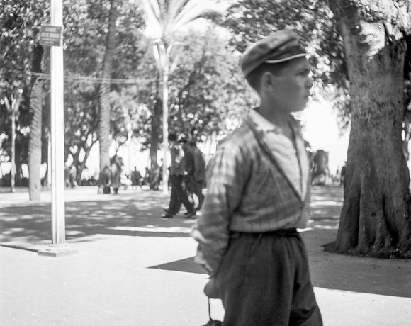 Natürliche Schönheit