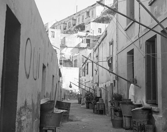 Natürliche Schönheit