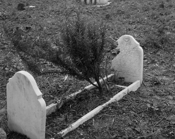 Natürliche Schönheit