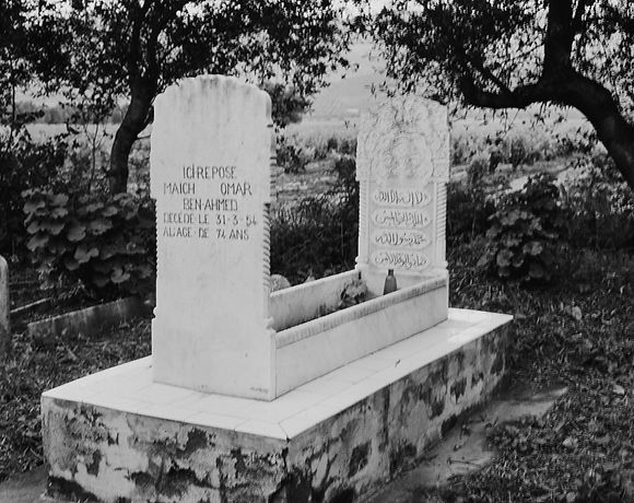 Natürliche Schönheit