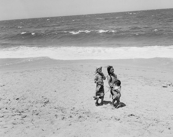 Natürliche Schönheit