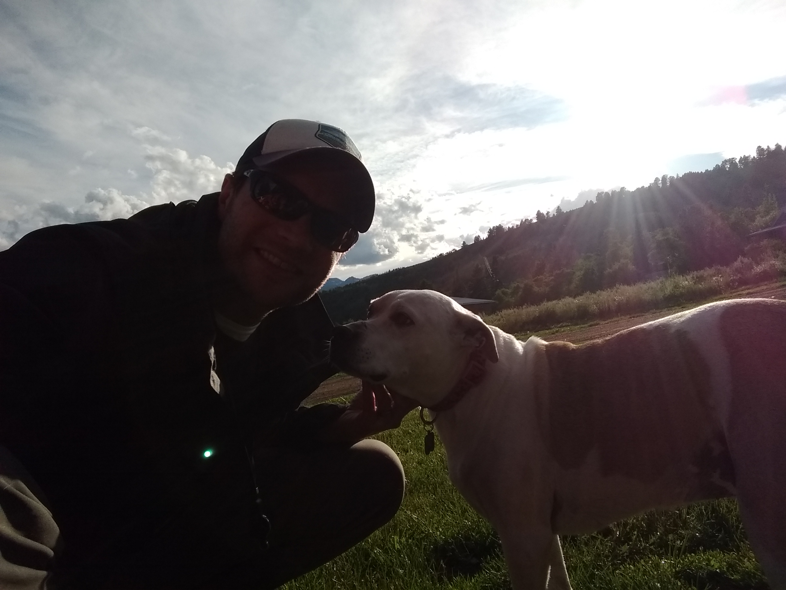 Doggy Den Luxury Doggy Daycare and Supplies