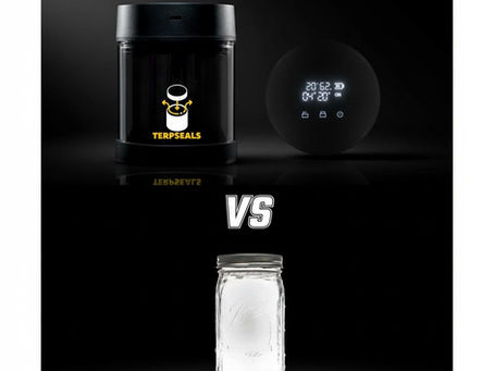 Vacuum Seal vs Traditional Storage: Why Airtight Matters