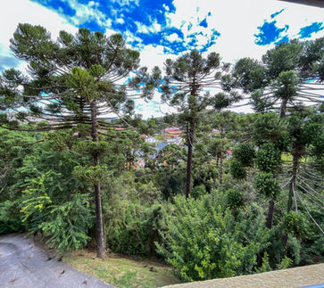 9-DJI_20230308_151503_485.jpg