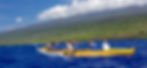 kaiwaa-ama-cover-image_edited.jpg