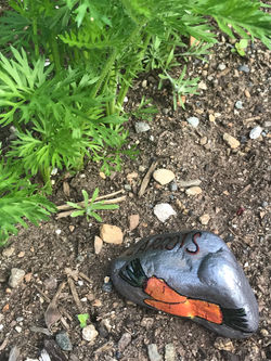 Garden_9949
