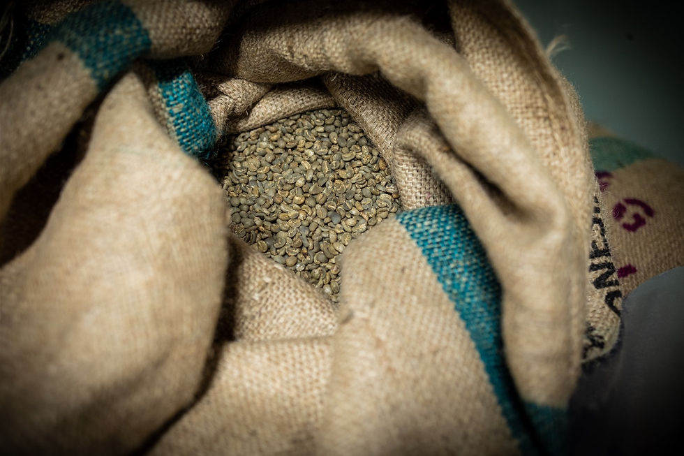 a bag of raw coffee beans in burlap sack
