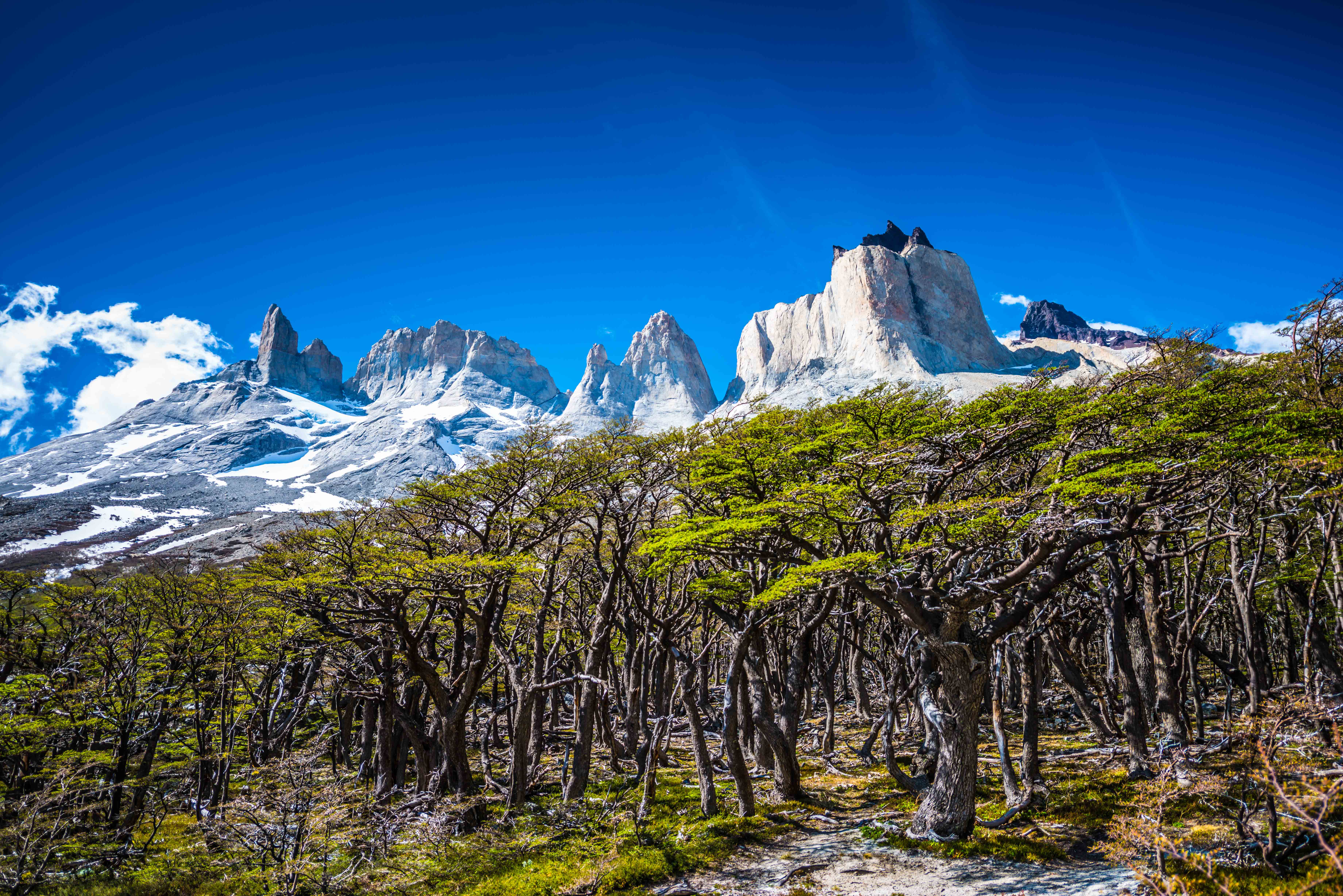 Torres Del Paine "2" - Patagonie