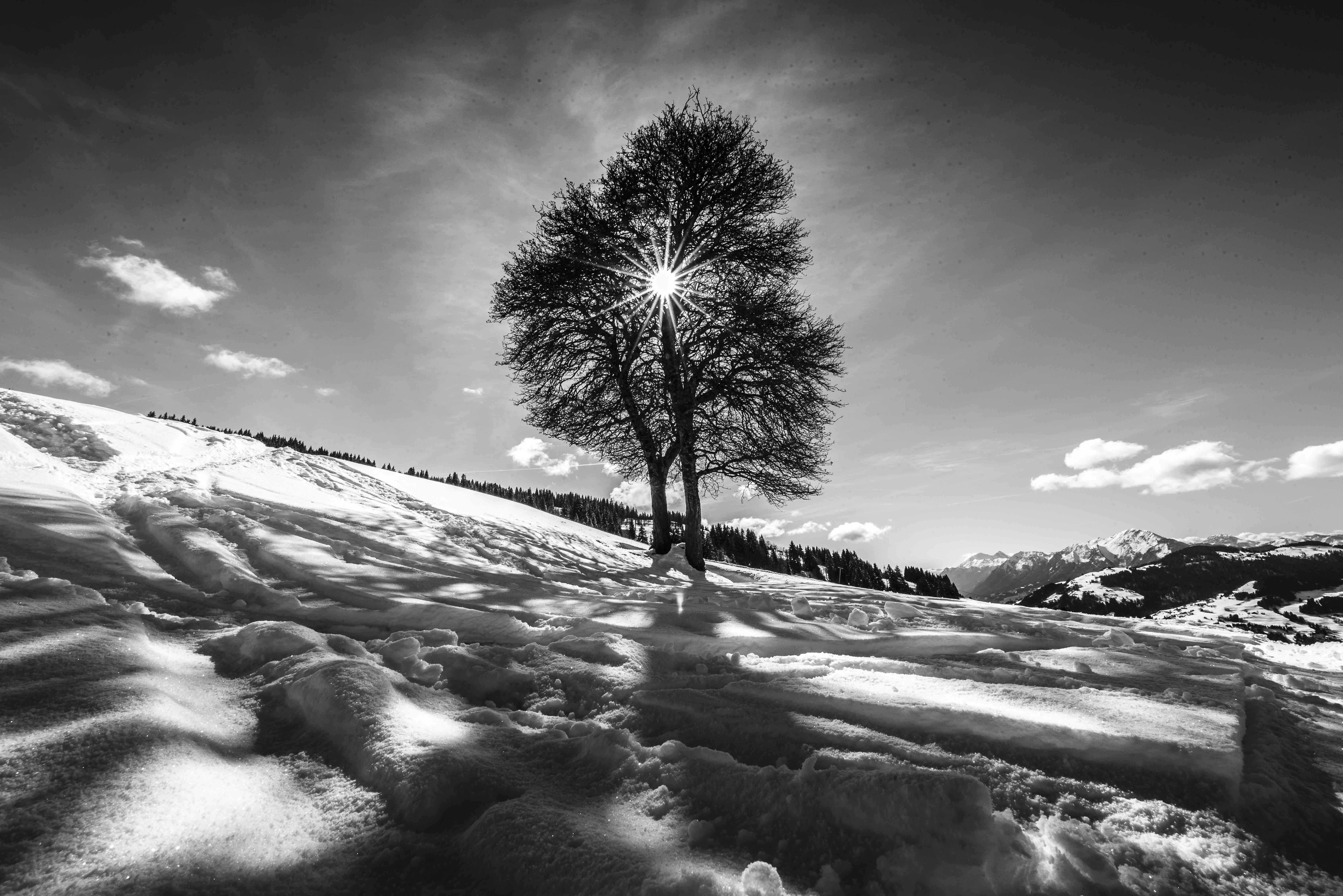 Alpes - France