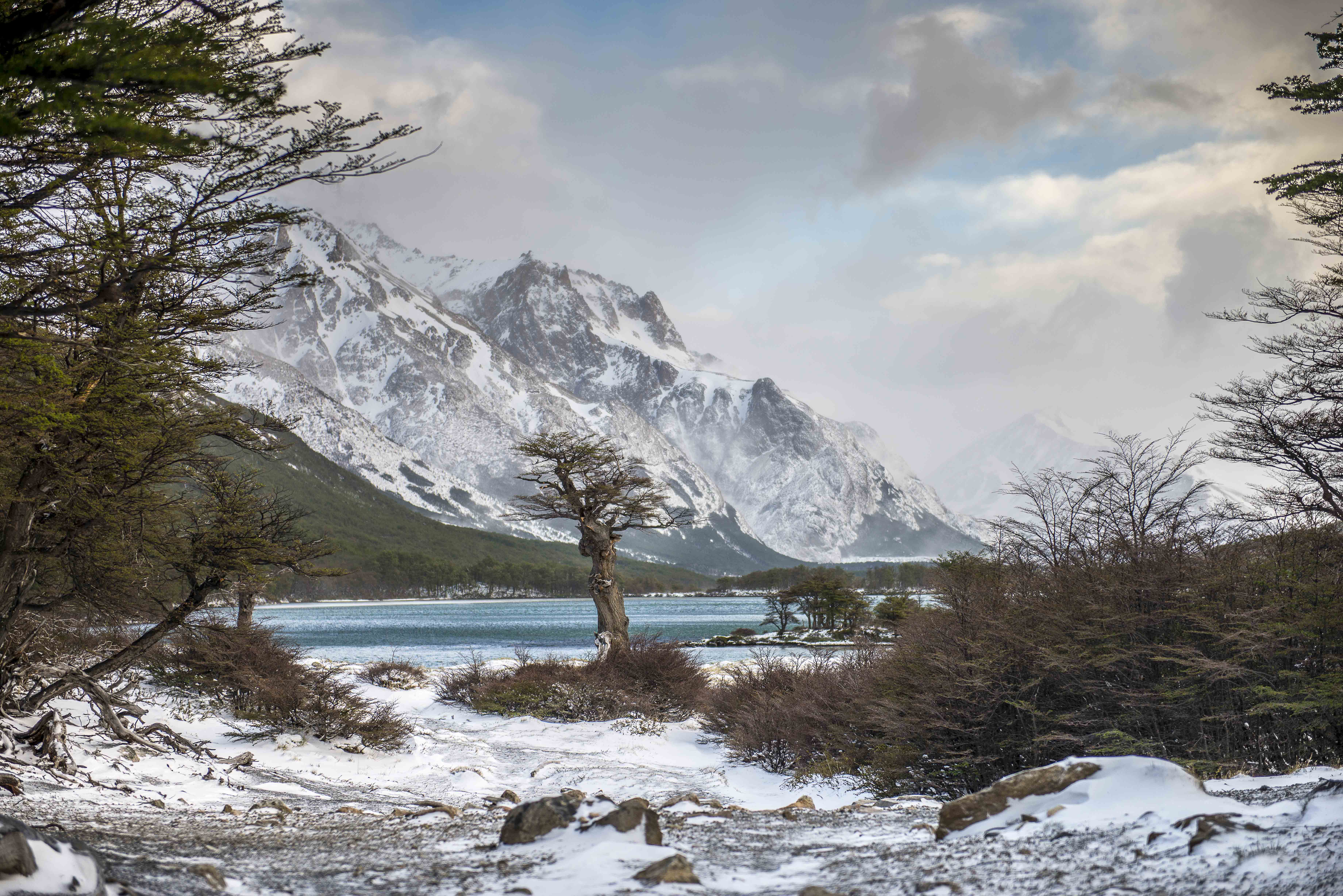 Los Glacieres 2 - Patagonie -Argt.