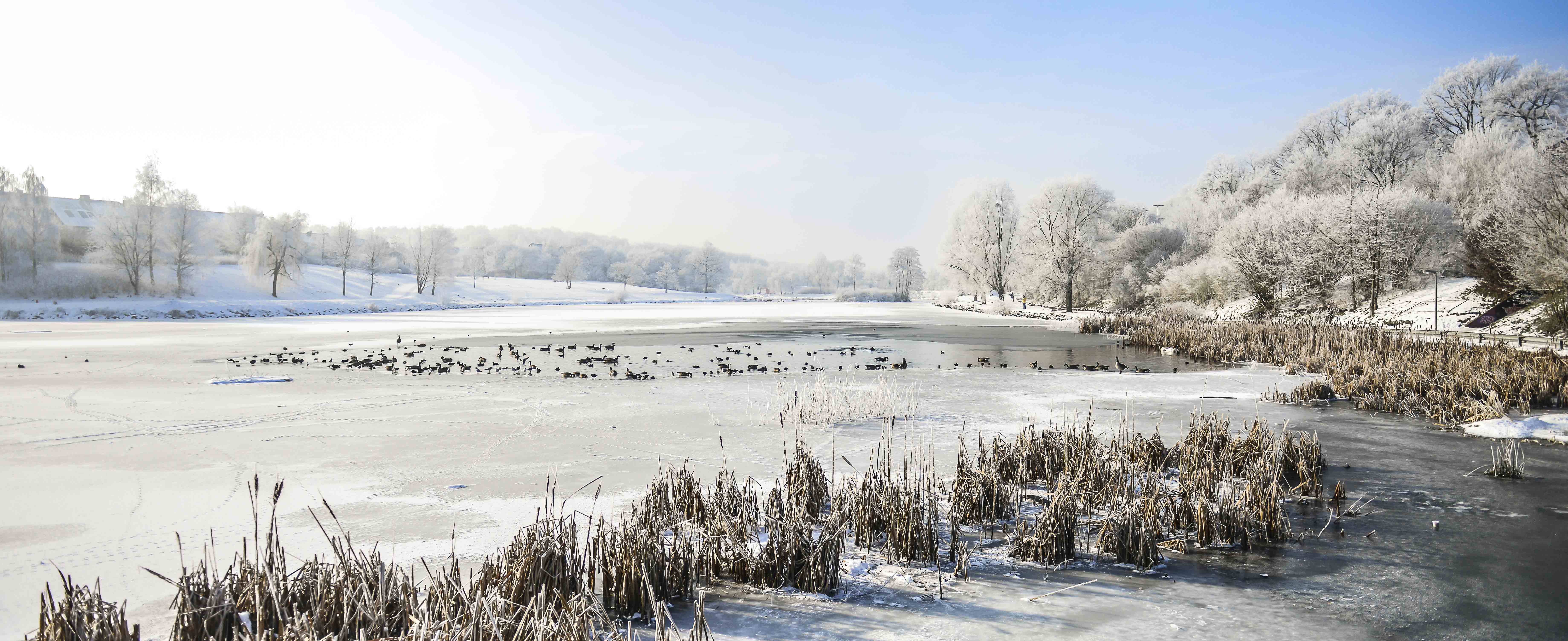 Lac Louvain-la-Neuve "2" - Belgique