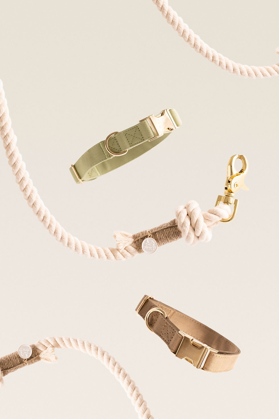 minimalist dog accessories photography