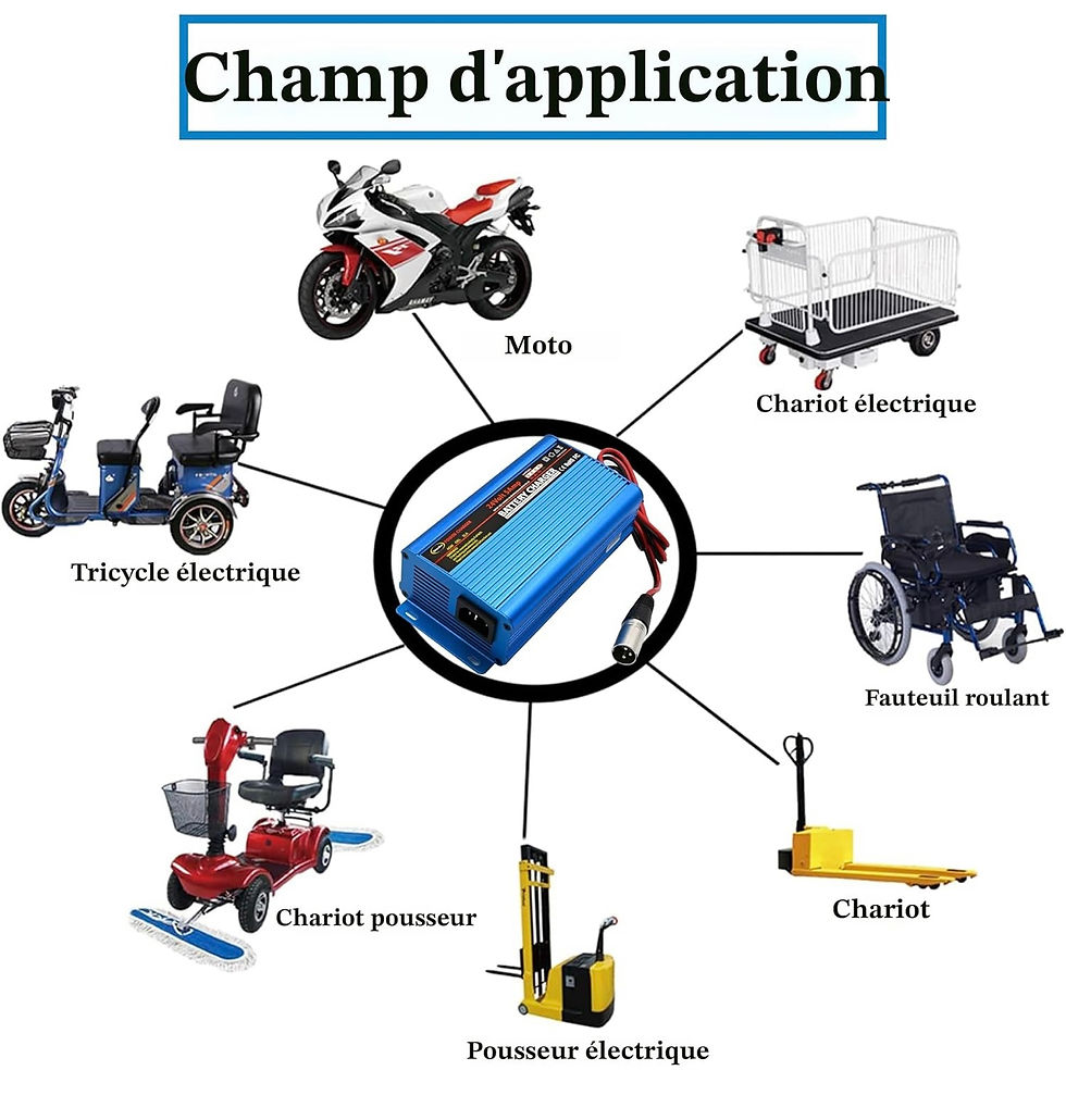 Miniature : Chargeur 24 volts 5A