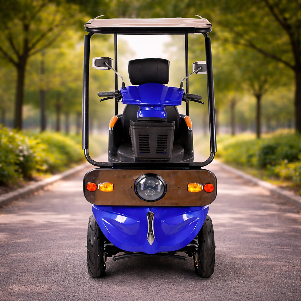 Quadriporteur GIO Tron Pr 2026 avec toit - 60 volts 35Ah - 5