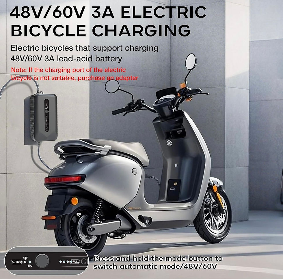 Miniature : Chargeur 48 volts / 60 volts 3A (universel) 2 modes